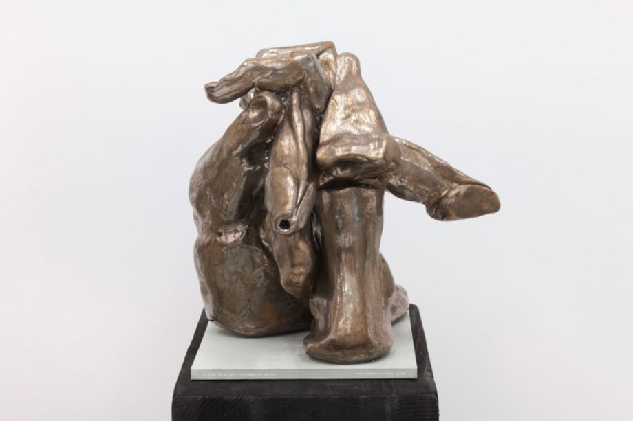 Nicol s Guagnini Black Mountain Vanitas 2015